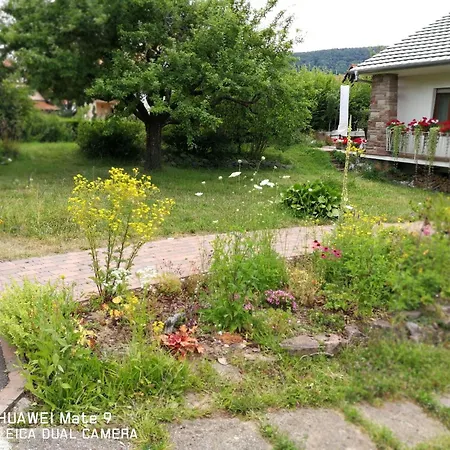 Le Chateau D'eau By Interhome Wissembourg