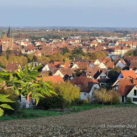 Le Chateau D'eau By Interhome Wissembourg