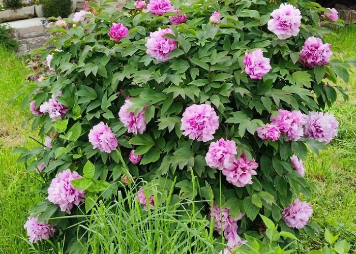 Le Chateau D'eau By Interhome