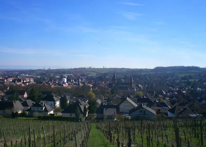 Le Chateau D'eau By Interhome Holiday home Wissembourg