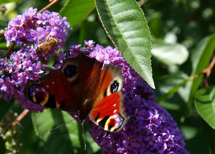 Le Chateau D'eau By Interhome Wissembourg