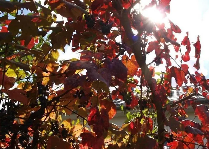 Le Chateau D'eau By Interhome Wissembourg