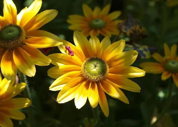 Holiday home Le Chateau D'eau By Interhome