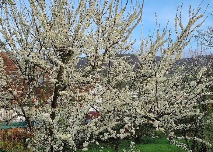 Le Chateau D'eau By Interhome Holiday home *